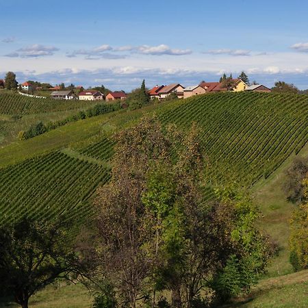 Wine & Tourism Bracko Bed & Breakfast Spodnji Jakobski Dol Ngoại thất bức ảnh