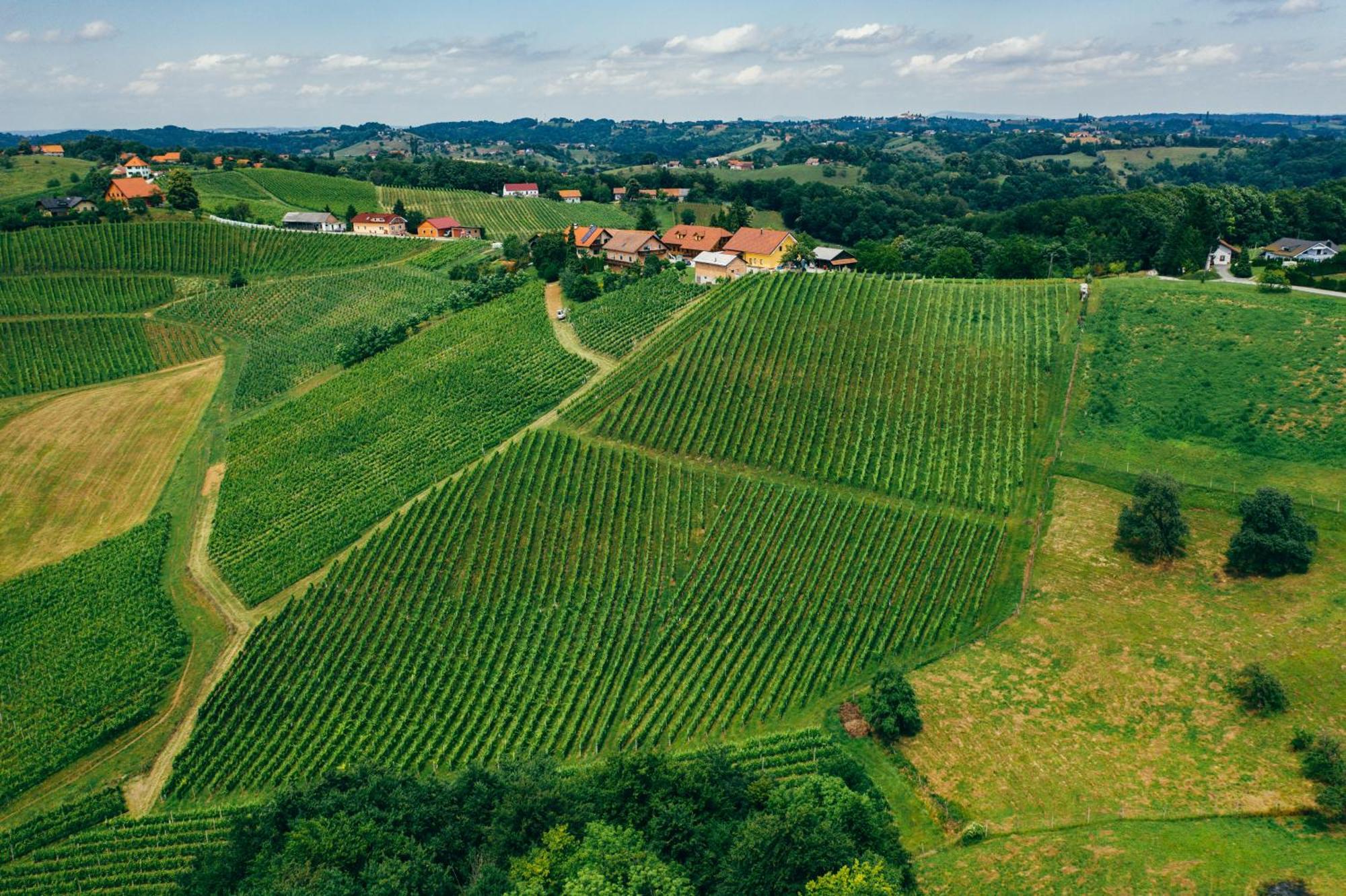 Wine & Tourism Bracko Bed & Breakfast Spodnji Jakobski Dol Ngoại thất bức ảnh